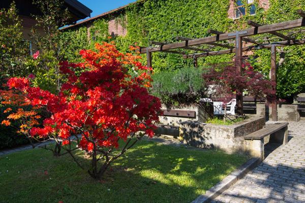 Foresteria Valdese Hotel Torre Pellice Exterior foto