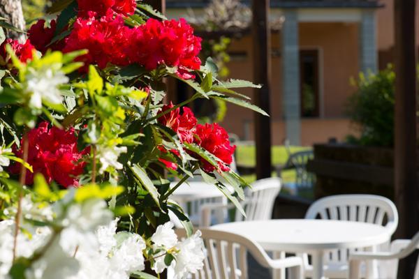 Foresteria Valdese Hotel Torre Pellice Exterior foto